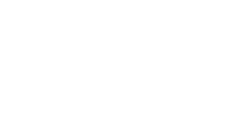 The Wheel Shop & Dent Repair Logo